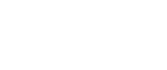 Logo van PUMA Academy